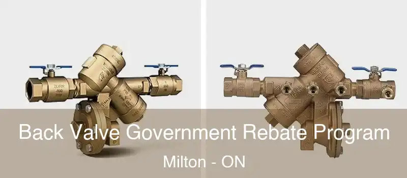  Back Valve Government Rebate Program Milton - ON