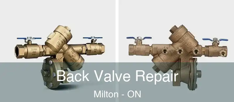  Back Valve Repair Milton - ON