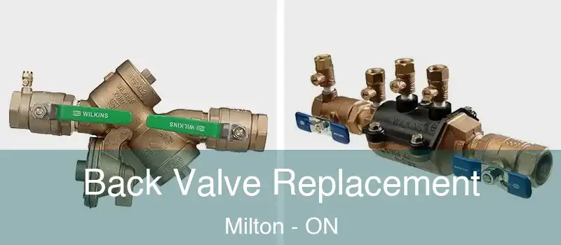  Back Valve Replacement Milton - ON