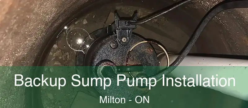  Backup Sump Pump Installation Milton - ON