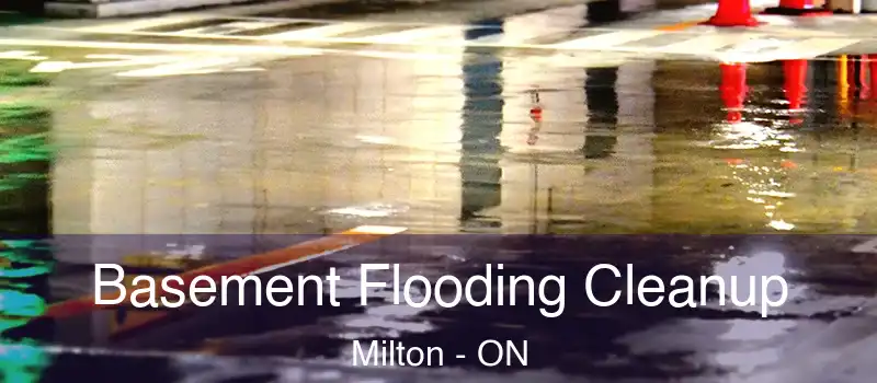 Basement Flooding Cleanup Milton - ON