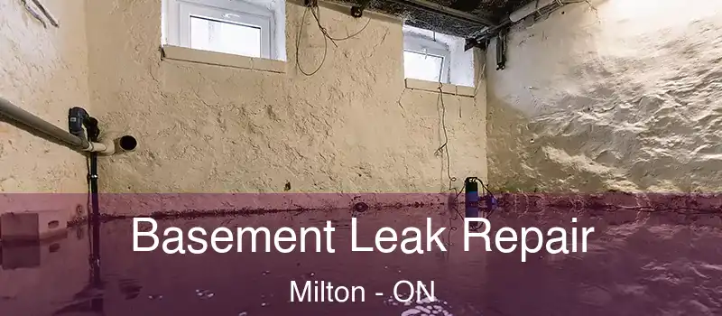  Basement Leak Repair Milton - ON