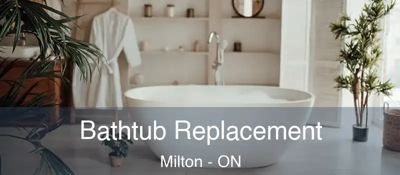  Bathtub Replacement Milton - ON