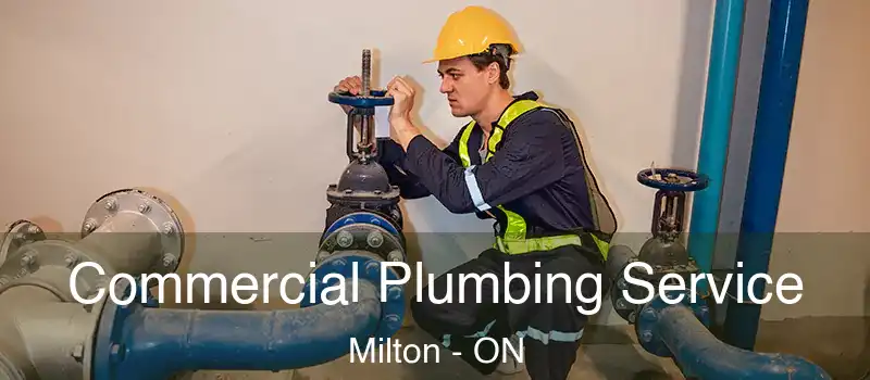 Commercial Plumbing Service Milton - ON