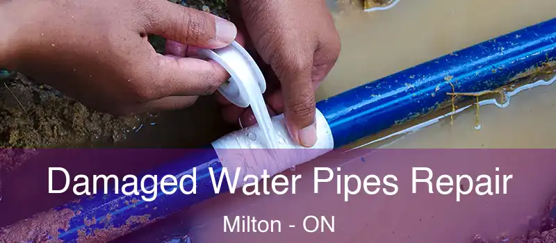  Damaged Water Pipes Repair Milton - ON