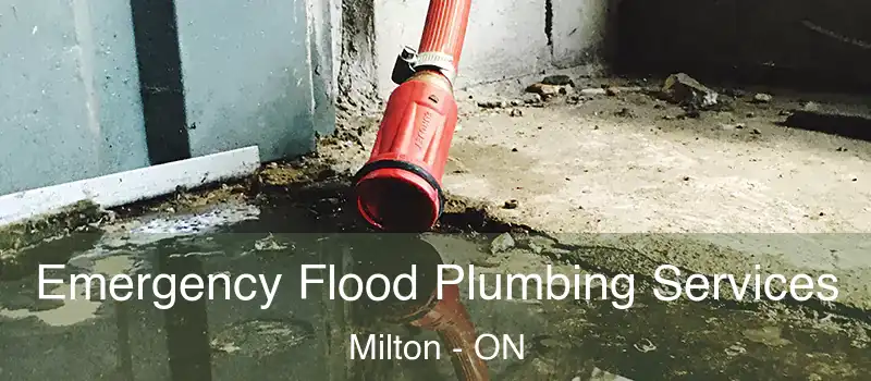 Emergency Flood Plumbing Services Milton - ON