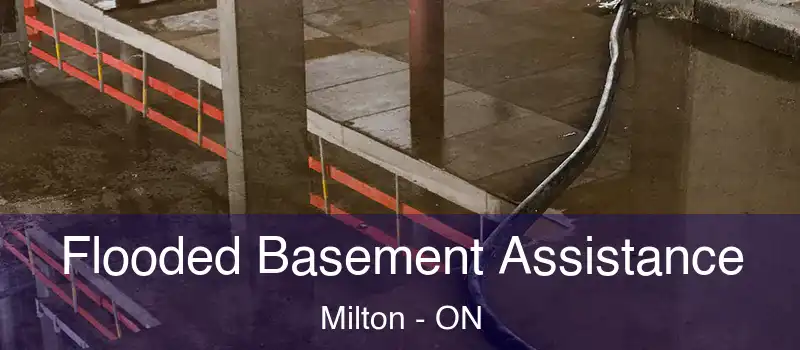  Flooded Basement Assistance Milton - ON