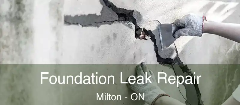  Foundation Leak Repair Milton - ON