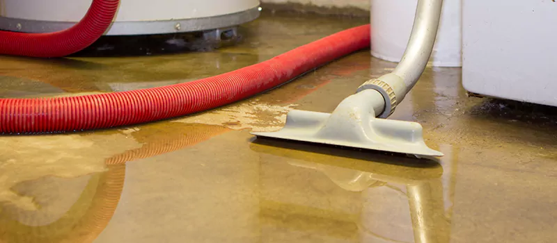 Professional Sewer Backup Cleanup Services in Milton, ON