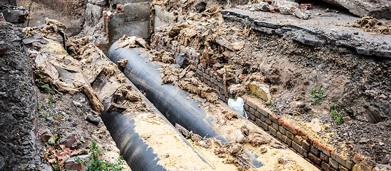 Commercial Sewer Tree Roots Damage Solutions in Milton, ON