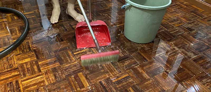Water Removal And Restoration Services in Milton, ON