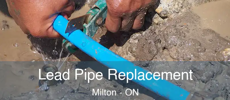  Lead Pipe Replacement Milton - ON