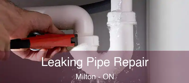  Leaking Pipe Repair Milton - ON
