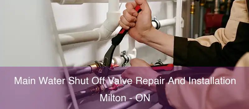  Main Water Shut Off Valve Repair And Installation Milton - ON