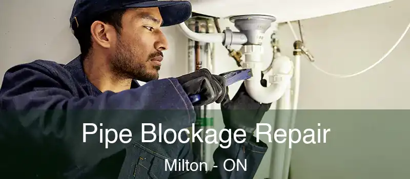  Pipe Blockage Repair Milton - ON