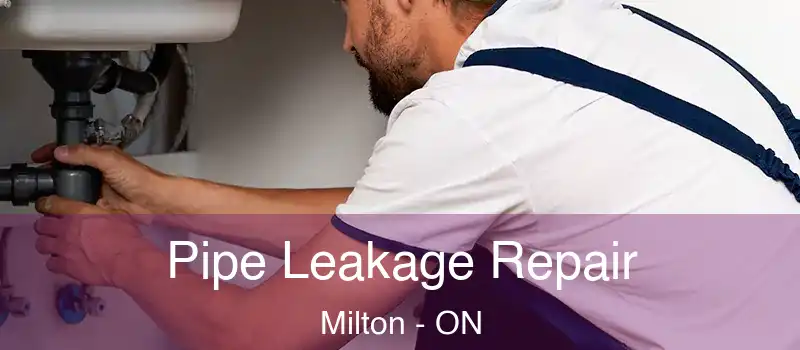  Pipe Leakage Repair Milton - ON
