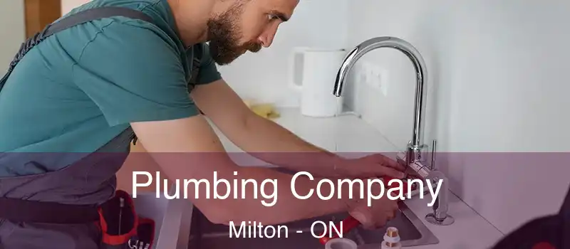  Plumbing Company Milton - ON