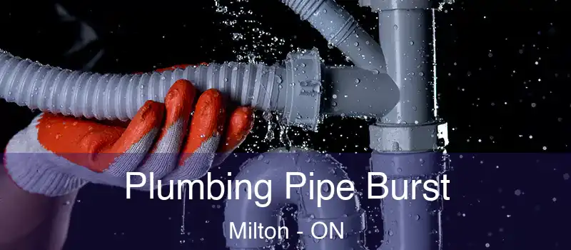  Plumbing Pipe Burst Milton - ON