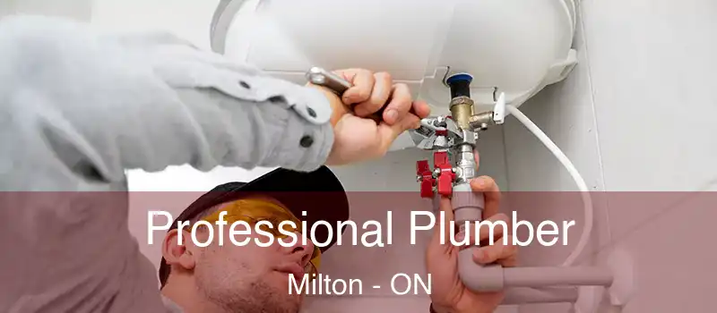  Professional Plumber Milton - ON