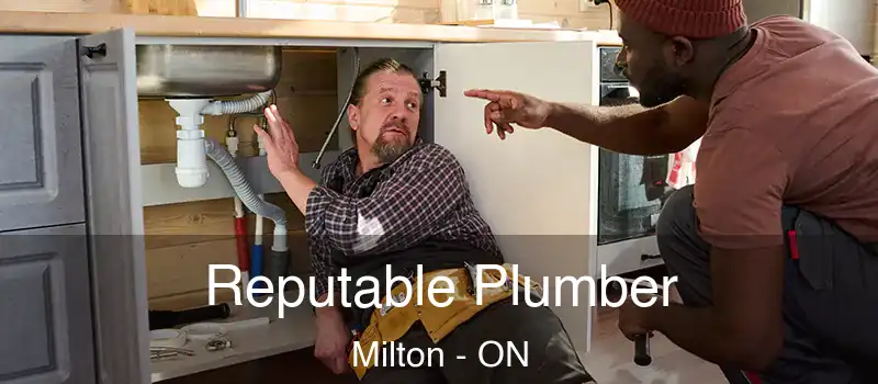  Reputable Plumber Milton - ON