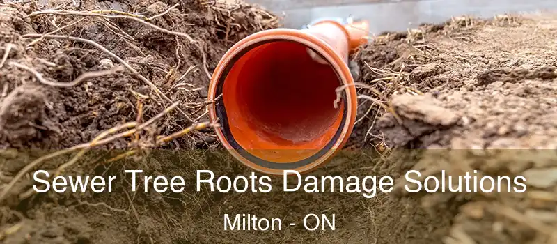  Sewer Tree Roots Damage Solutions Milton - ON