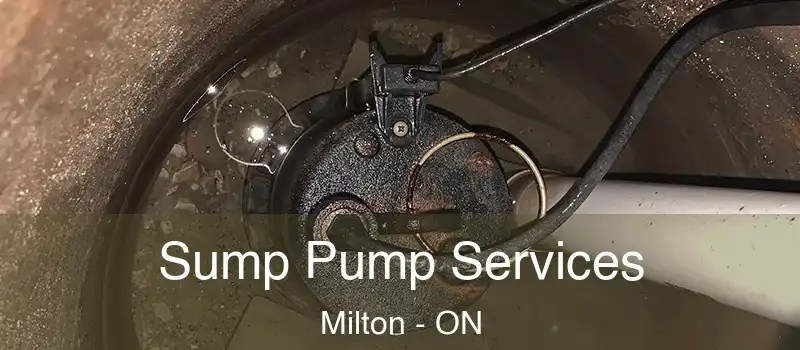 Sump Pump Services Milton - ON