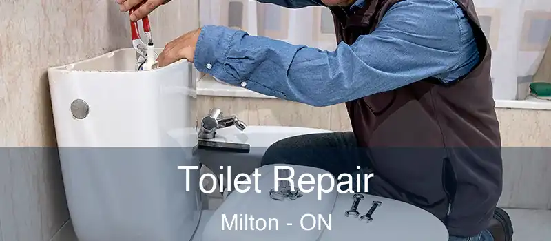  Toilet Repair Milton - ON