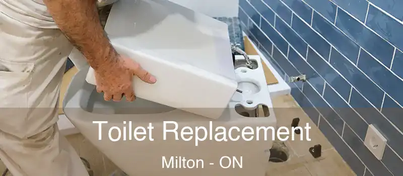  Toilet Replacement Milton - ON