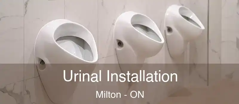  Urinal Installation Milton - ON