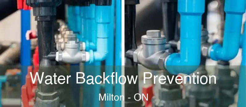  Water Backflow Prevention Milton - ON