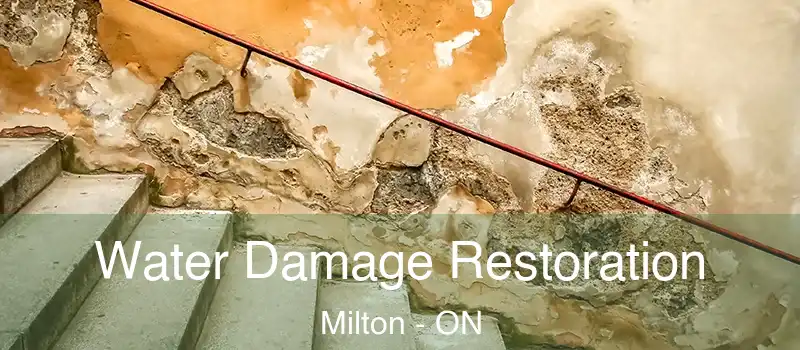  Water Damage Restoration Milton - ON