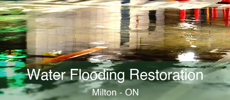 Water Flooding Restoration Milton - ON