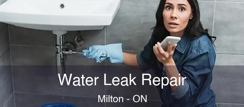  Water Leak Repair Milton - ON