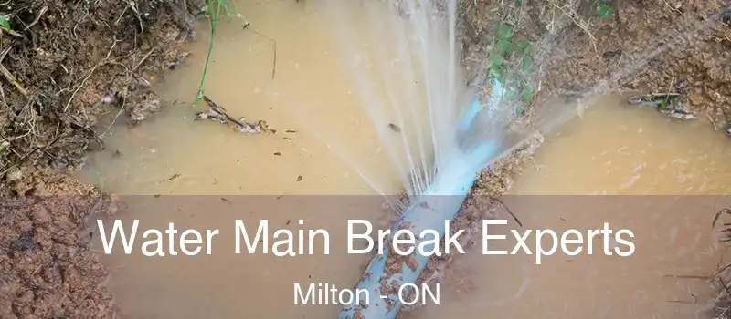  Water Main Break Experts Milton - ON