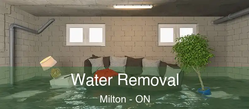  Water Removal Milton - ON
