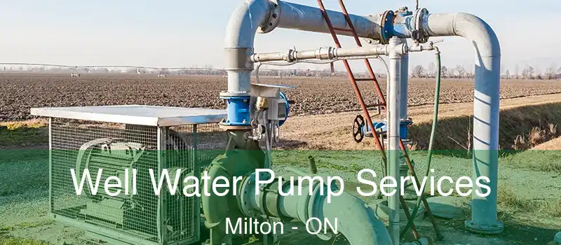  Well Water Pump Services Milton - ON